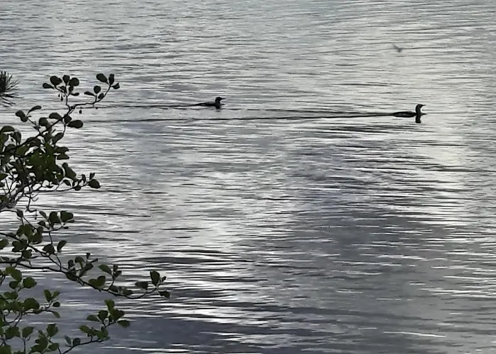 Luonnon Rauhaa Kalliosaaressa, Private Island Villa